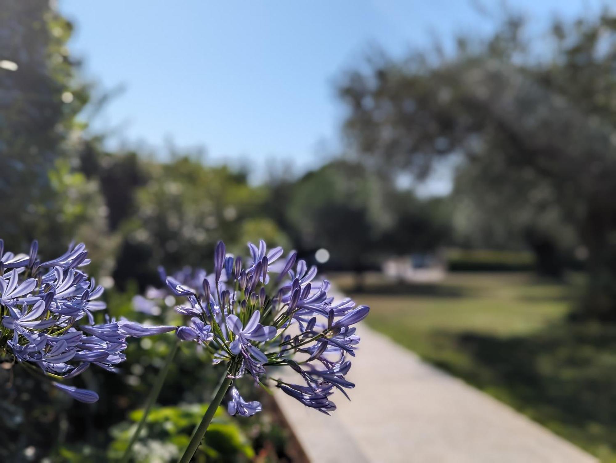 The Best Sunset Apartments Rovinj Luaran gambar